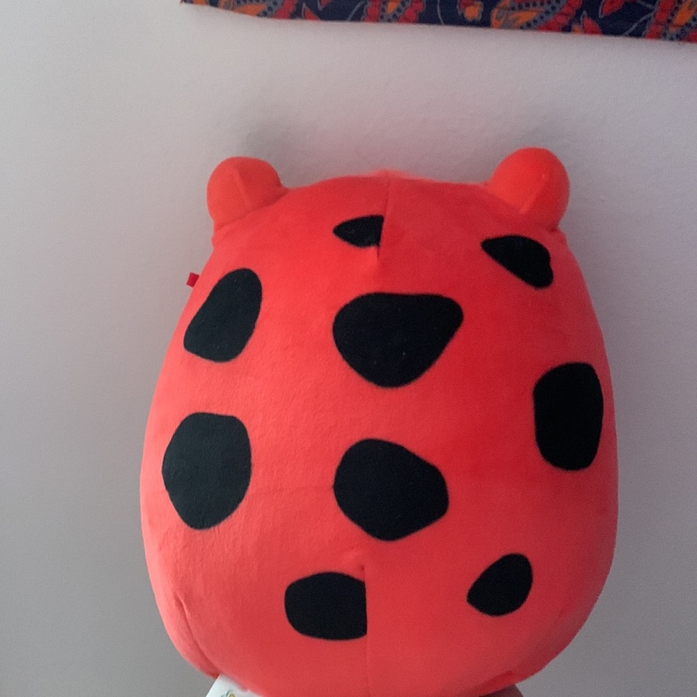 squishmallow - Picture 2 of 3